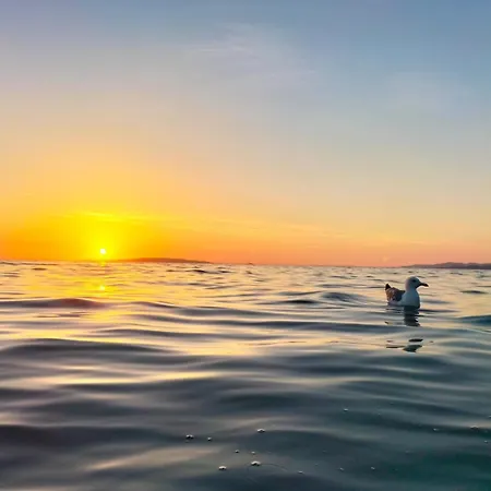 Appartamento Con Ampio Terrazzo Vista Mare