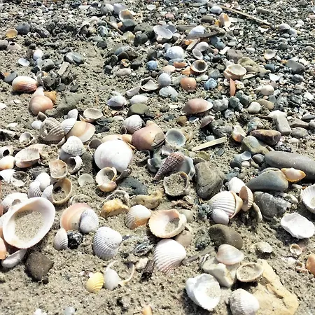 Con Ampio Terrazzo Vista Mare Follonica